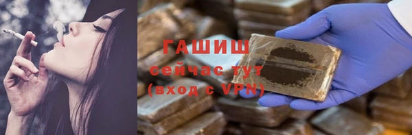 гашик Алексин