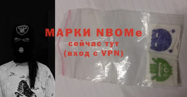 гашик Алексин