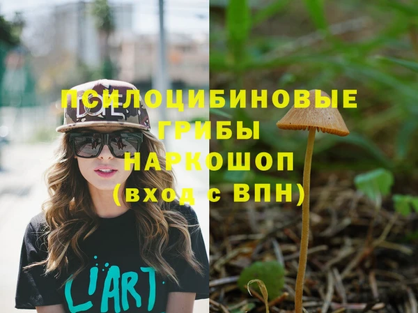 Альфа ПВП Алзамай